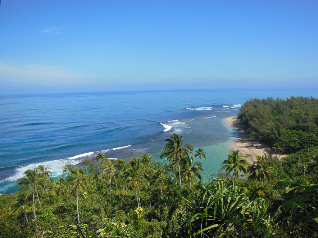 Kee Beach, Kauai, Hawaiian Islands (Photograph by Daniela Dägele)